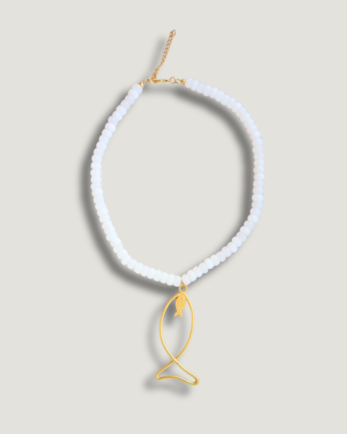 The Ichthys Fish