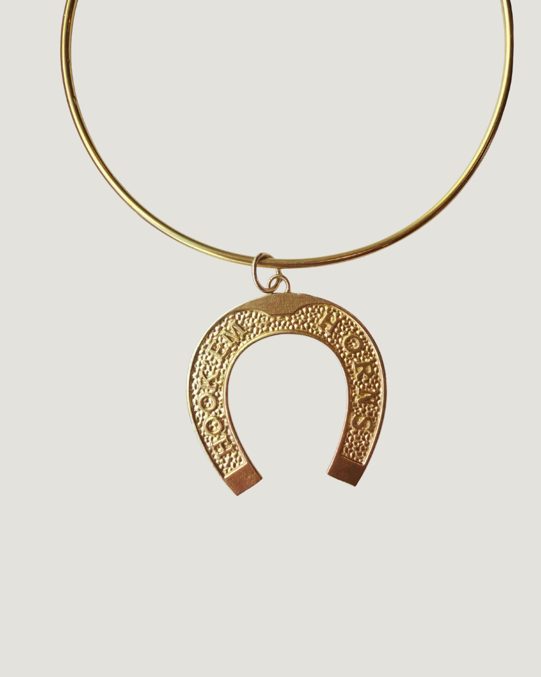 Hook’Em Horseshoe