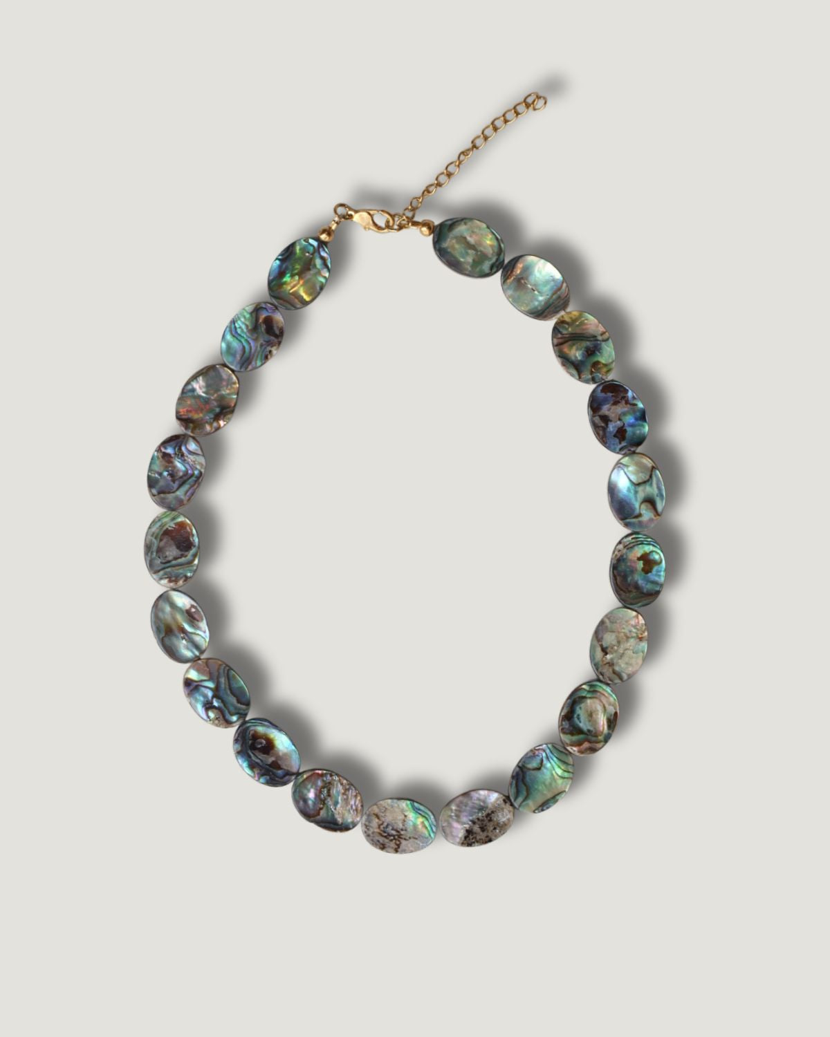 The Abalone