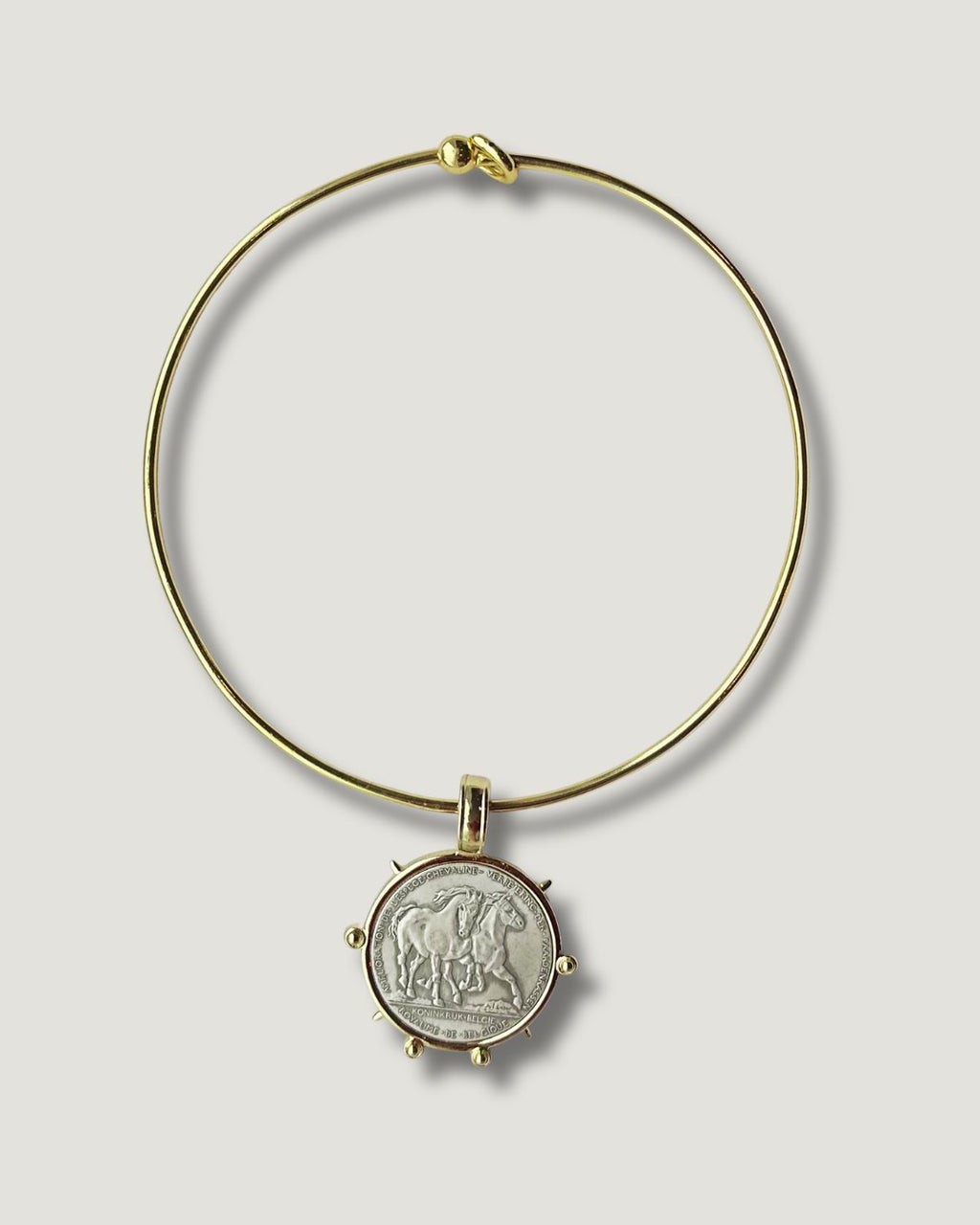 The Horse Coin